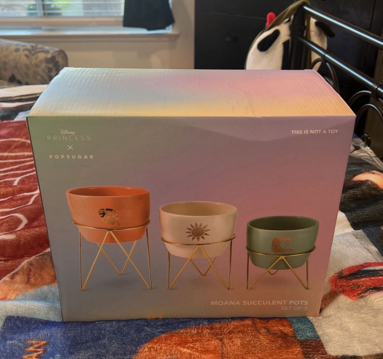 Disney Moana Plant pots