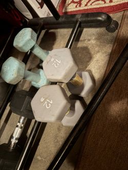 Workout Weights & Equipment