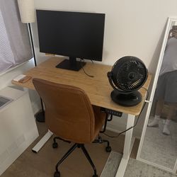 Standing Desk & Monitor