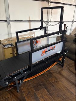 Dog Treadmill