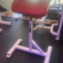 Flex Adjustable Preacher Curl Bench in Redondo Beach 
