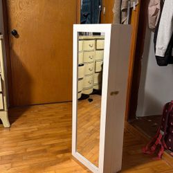 Storage body mirror