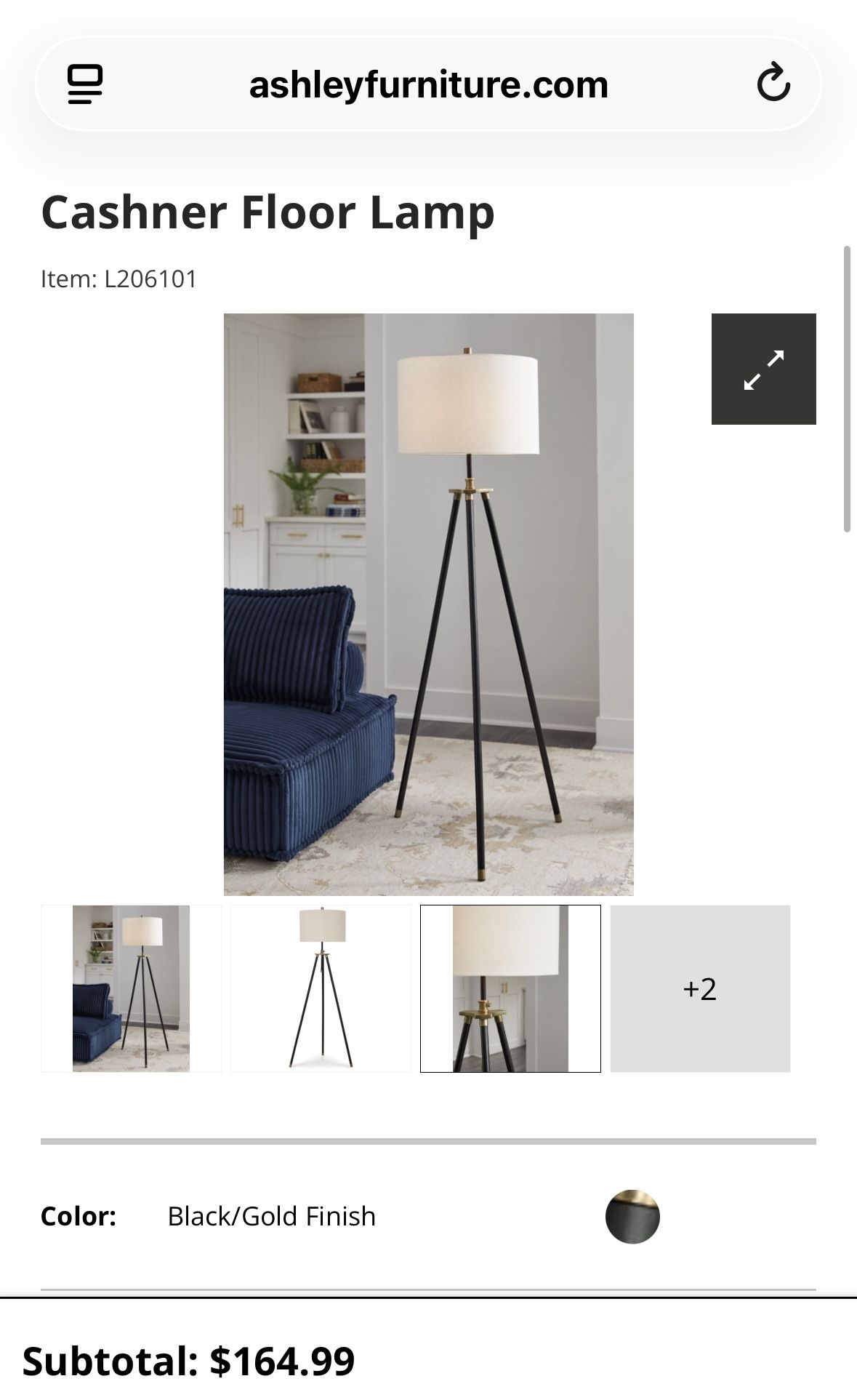 Cashner Floor Lamp