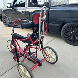 Special Needs Bike 