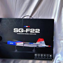 SG-F22 Pinecone Model Plane