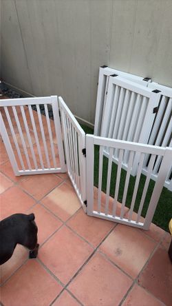 Dog Fences