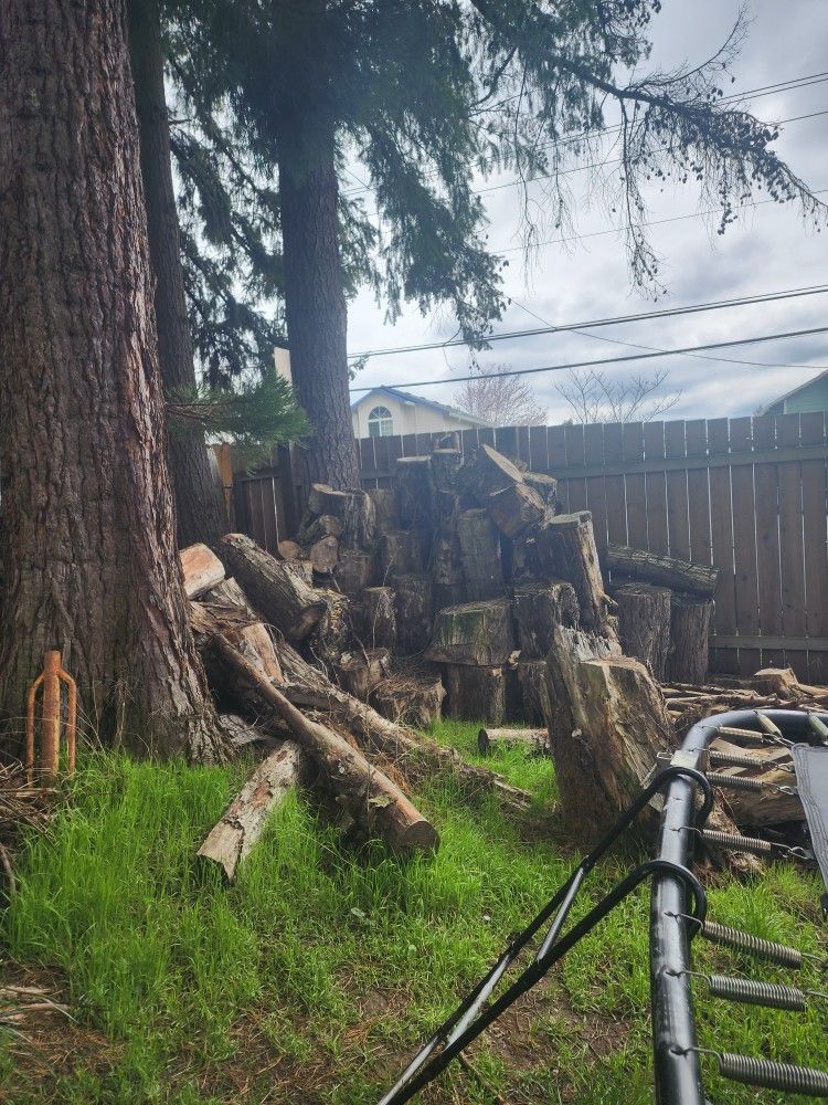 Wood U Cut U Haul.. 20.00