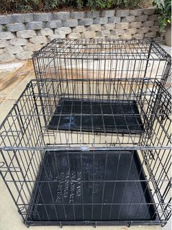Kennel