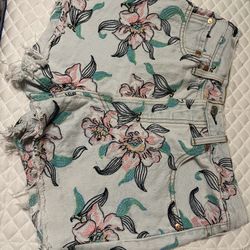 Levi’s Shorts  With Embroidery - Sz 28 / Sz 6