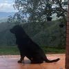 Jose