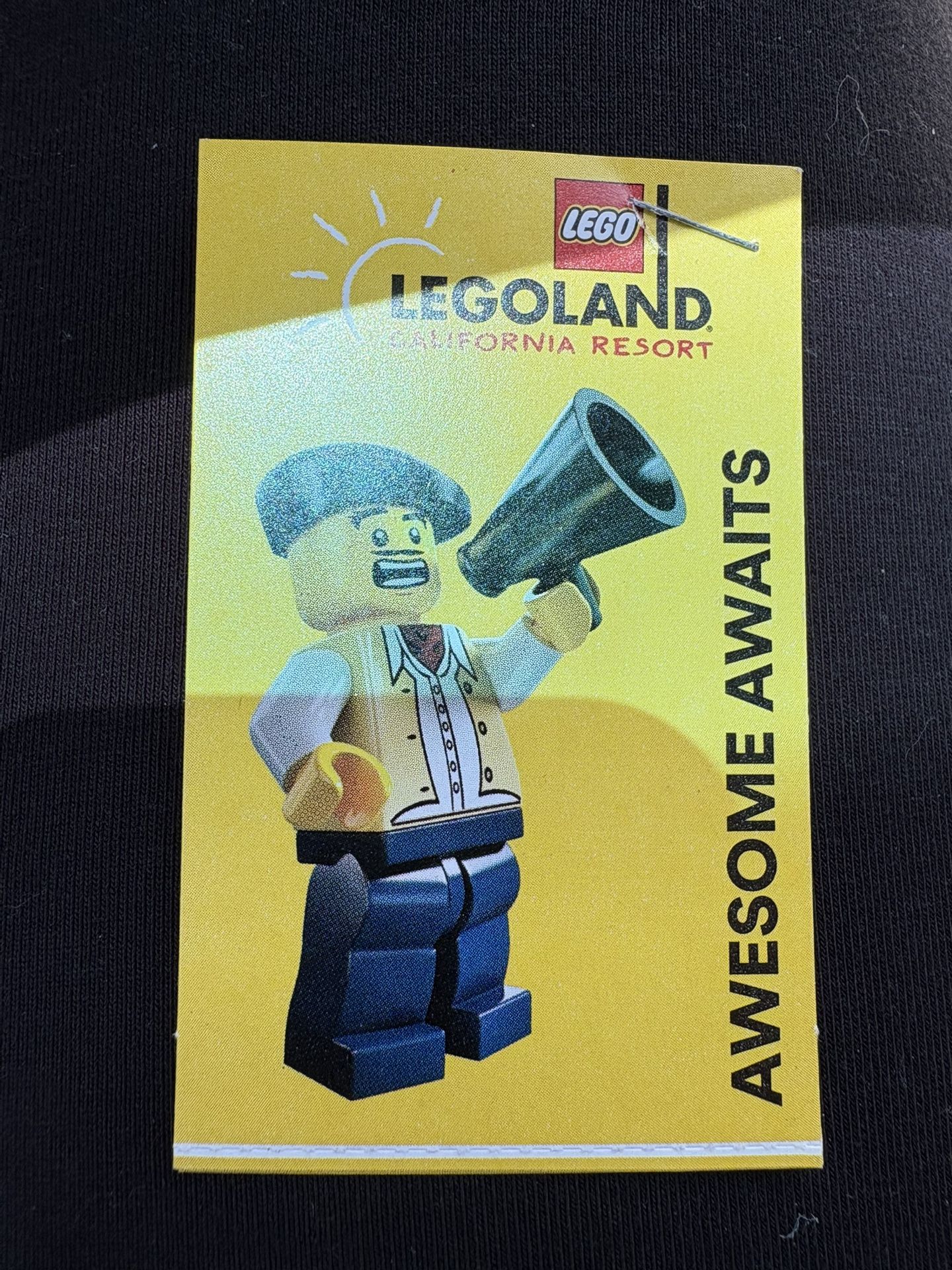 4-LEGO LAND TICKETS