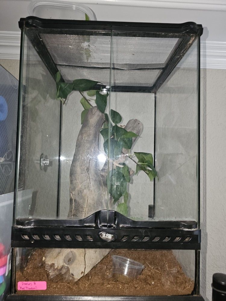 Reptile Tanks