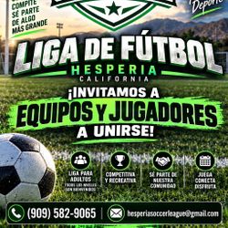 Soccer 