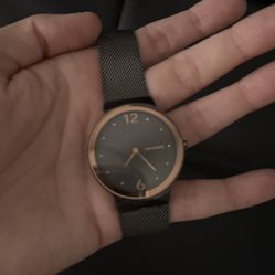 Skagen Watch