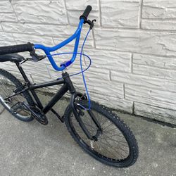 Teen Bike