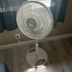 Bedroom Fan 