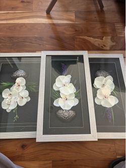 Frames