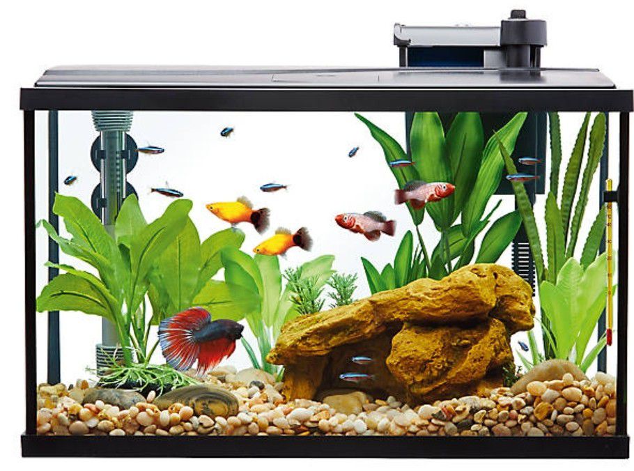 10 Gallon Top Fin® Essentials Aquarium