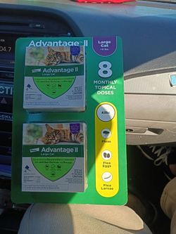 ADVANTAGE 2 LARGE CAT 8MONTH DOSES