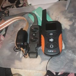 Dog Training Collar With Remote