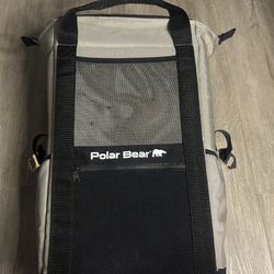 Polar Bear Coolers Original Backpack Soft Cooler Silver Gray Pre-owned 