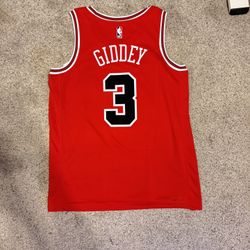Chicago Bulls Josh Giddey #3 Nike Red 2024/25 NBA Swingman Jersey Icon Edition