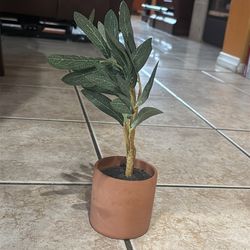 Plastic Plant