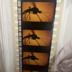 Selling 2 Film Cells 