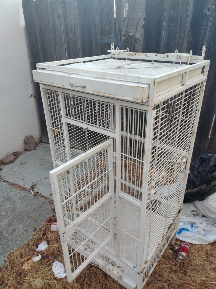 Bird Cage