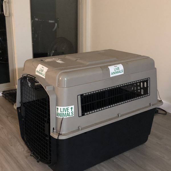 Large Dog Kennel for Sale in Seattle, WA OfferUp