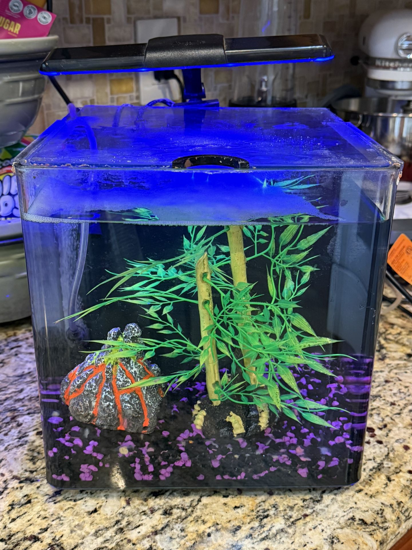 Nano Aquarium