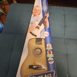 Acoustic Guitar 