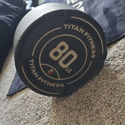 80 Lb Titan Curl Barbell