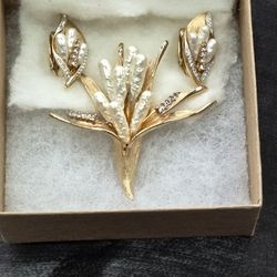 Pin Brooch And Clip On Earrings 