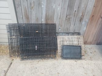 Dog Cages