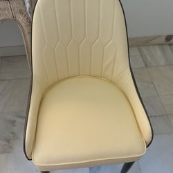 10 Dining Chairs