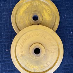 Pair 10LB Olympic Bumper Plates 2” Hole 