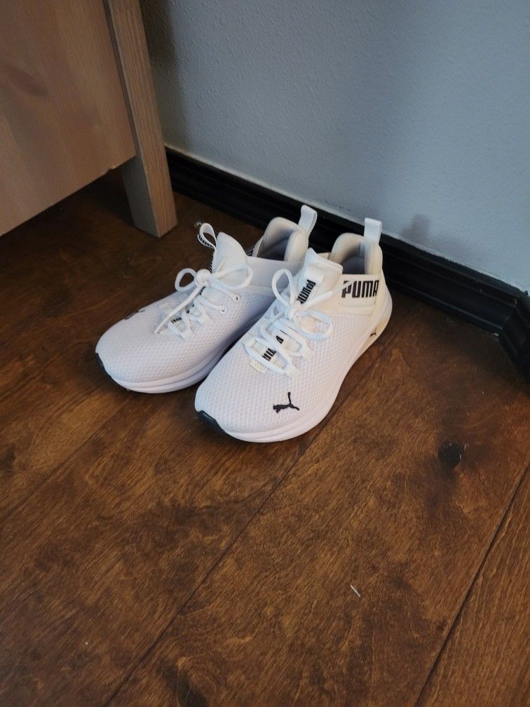 Pumas
