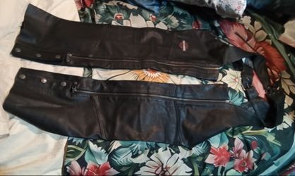 Women's Harley Davidson Chaps