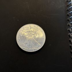 2010 Silver Eagle