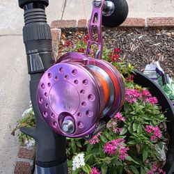 Maxel Hybrid Reel/New Braid/New Star Rod