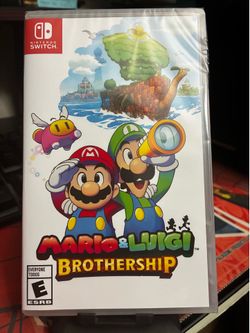 Mario and Luigi Brothership Switch