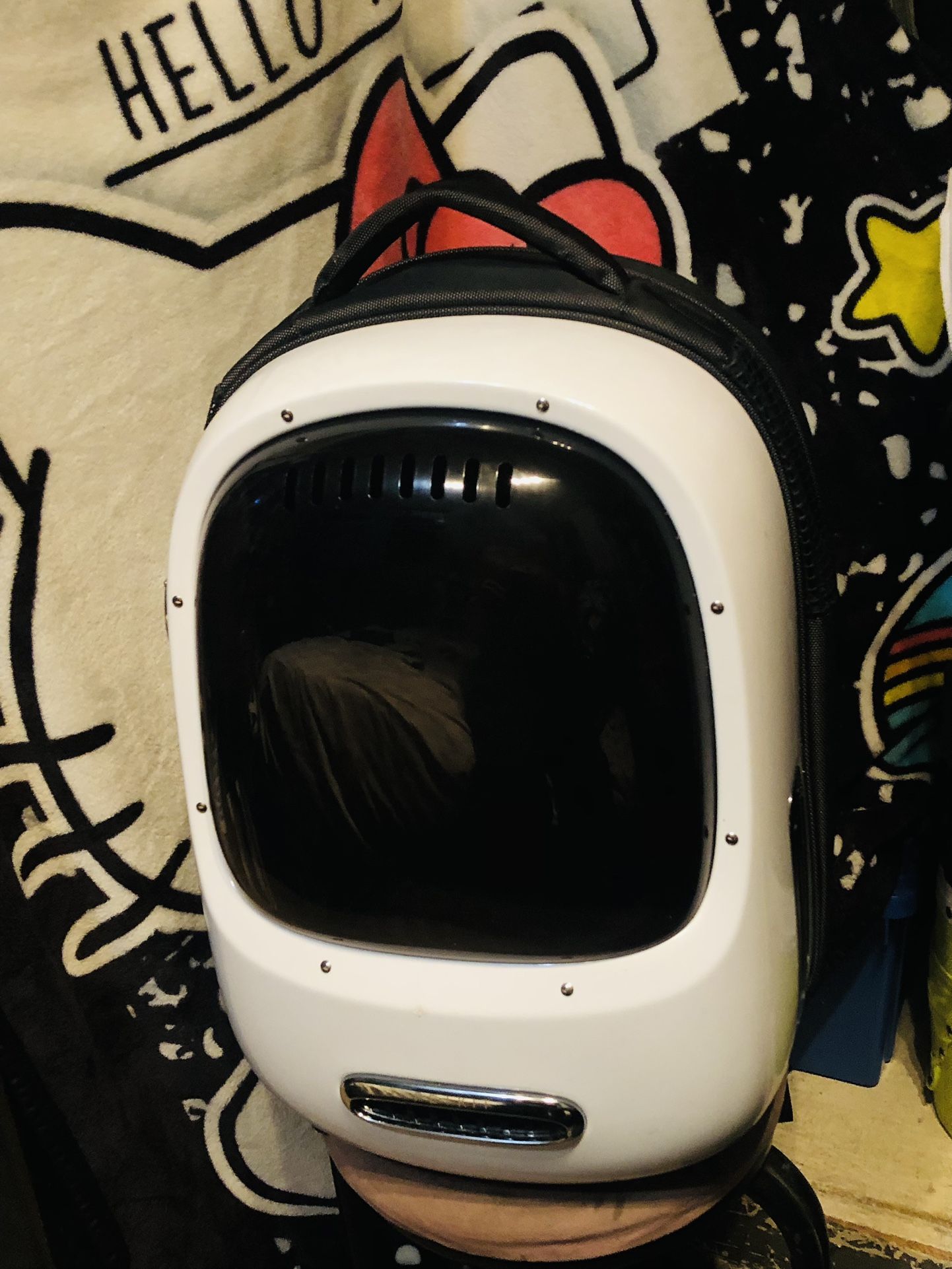 Spaceship Cat Carrier