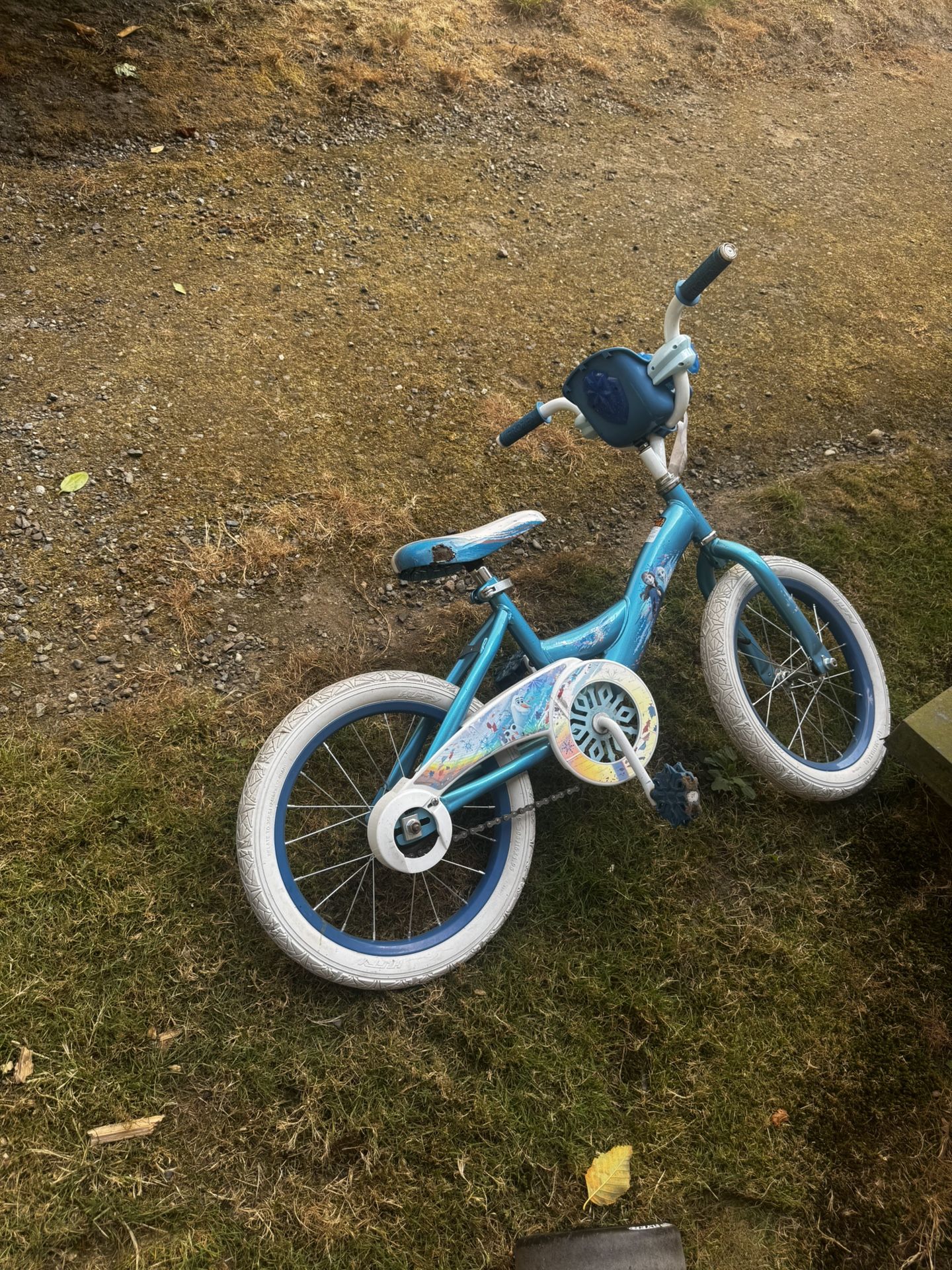 Girl Elsa Bike