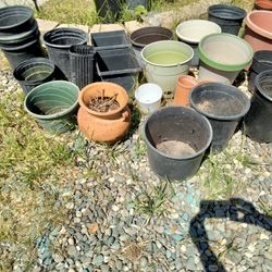 Plant Containers $10 For all