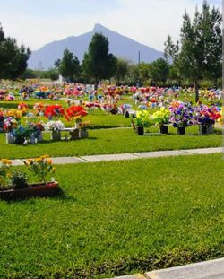 Terreno en el panteón