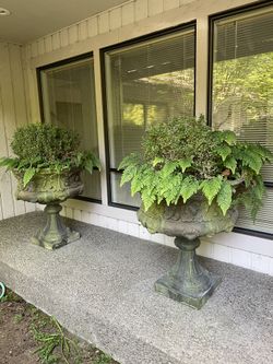 Molbak’s Cement Urn   3 Feet Tall Pair  Molbak’s