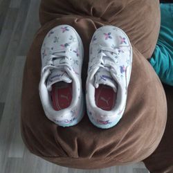 Pumas With Butterflies 