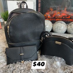 backpack Three And One