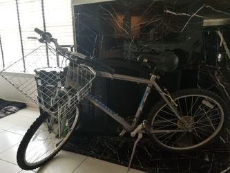Nishiki Tamarack MTB